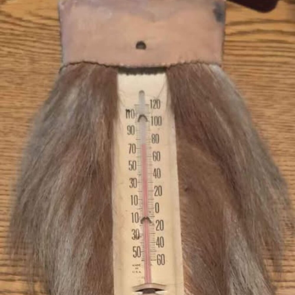 Vintage Rustic Indoor Thermometer